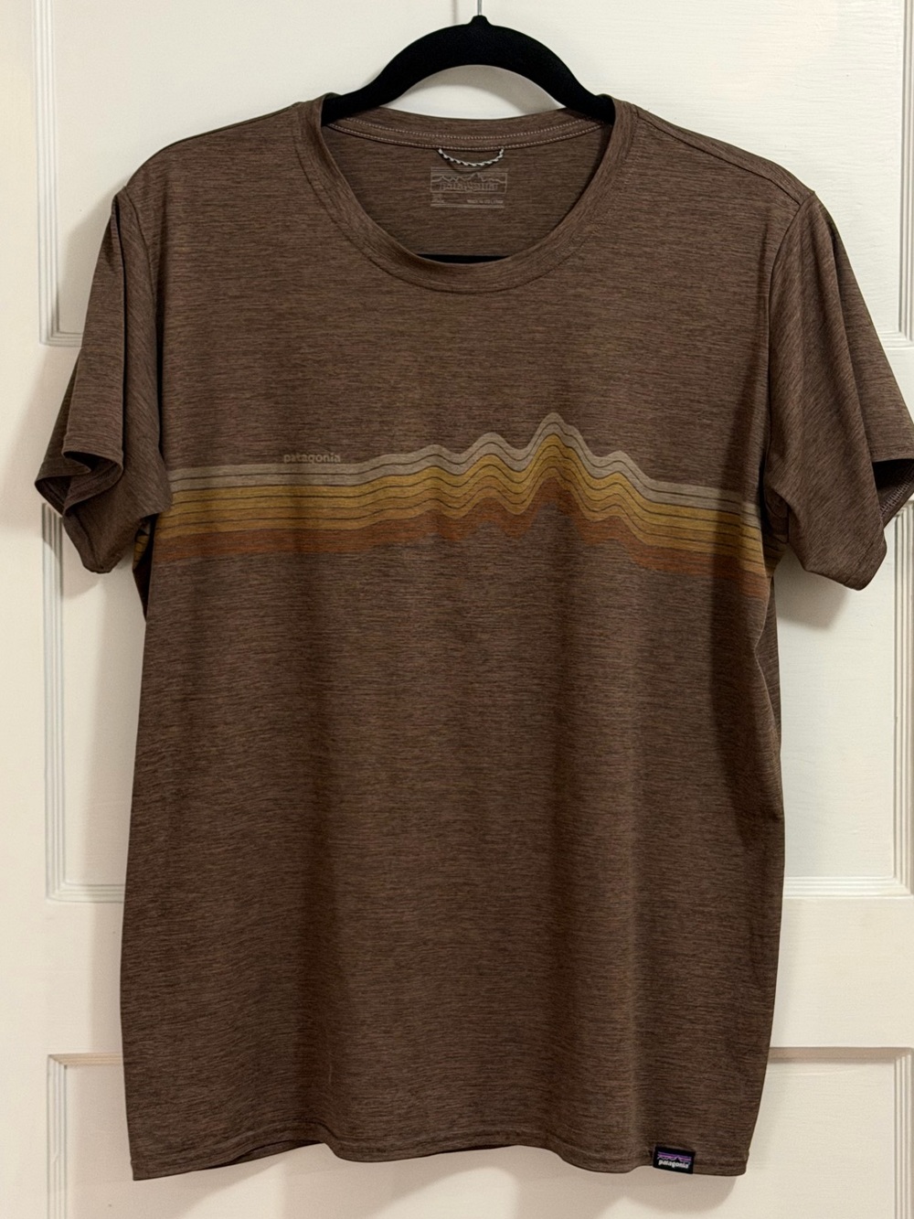 Patagonia Brown Short-Sleeve Tee with Earth-Tone Wave Graphic